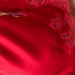 Seta Superior Stretchseide String SUBLIME Von Cotton Club 35 Seta Superior Stretchseide String SUBLIME Von Cotton Club -Mode Dessous Geschäft seide mit spitze rosso cotton club 6